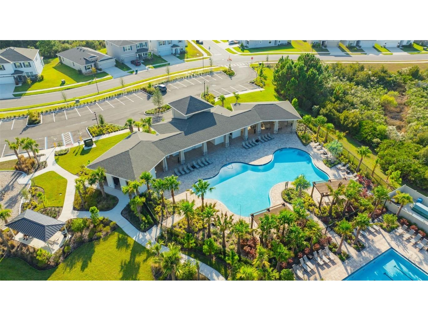 2555 Bending Bonsai Drive Wesley Chapel FL 33543 TB8452119 image12