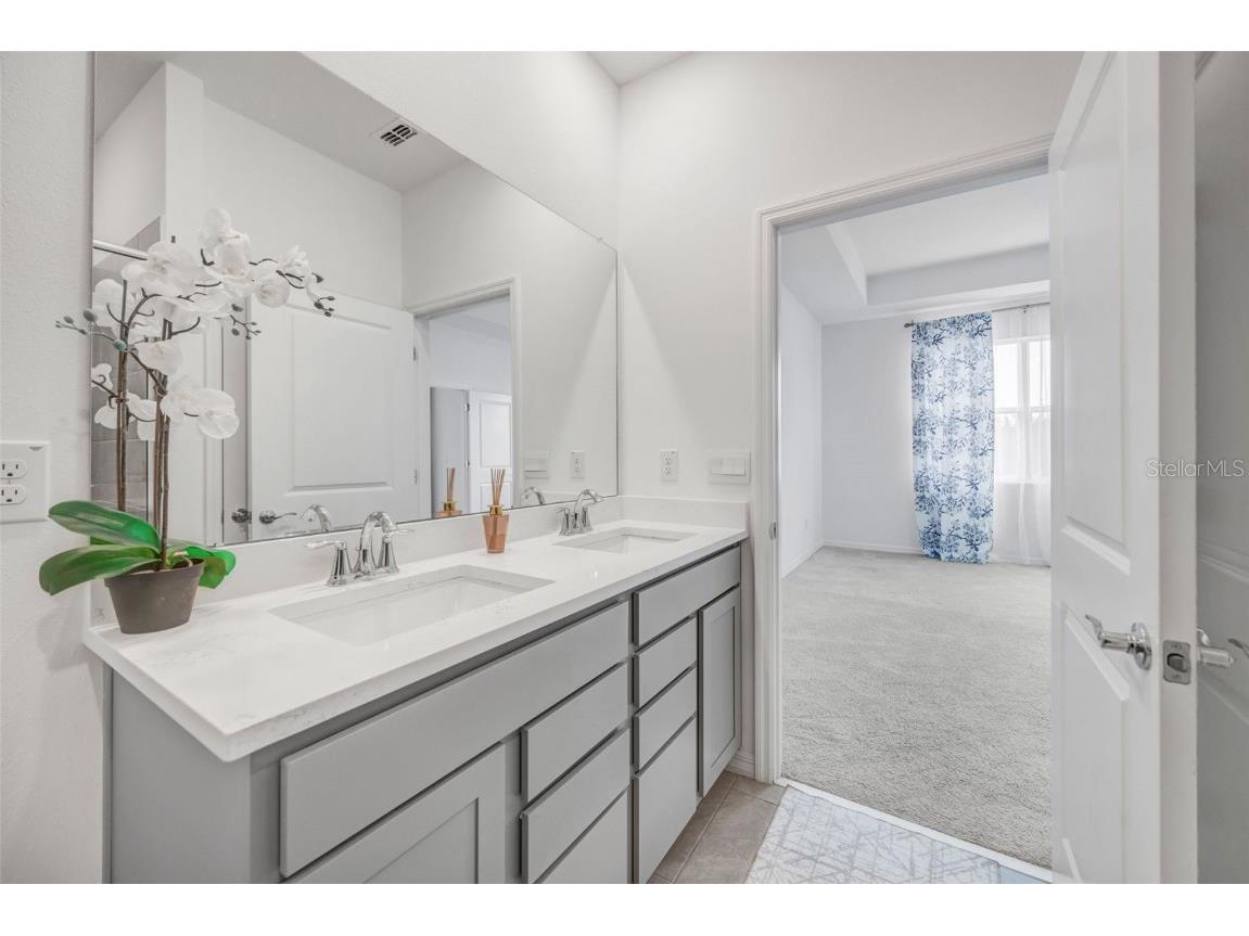 2555 Bending Bonsai Drive Wesley Chapel FL 33543 TB8452119 image14