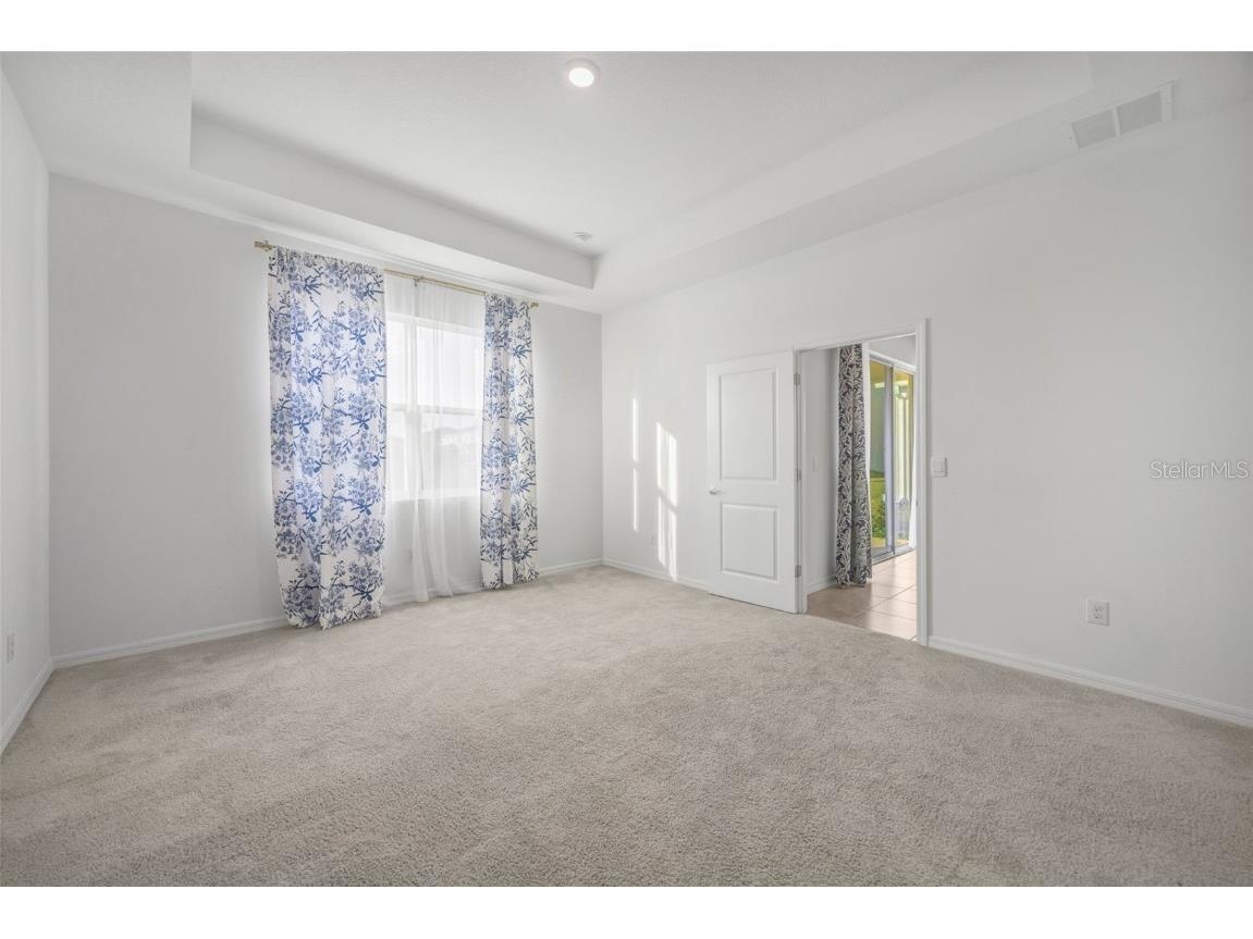 2555 Bending Bonsai Drive Wesley Chapel FL 33543 TB8452119 image18