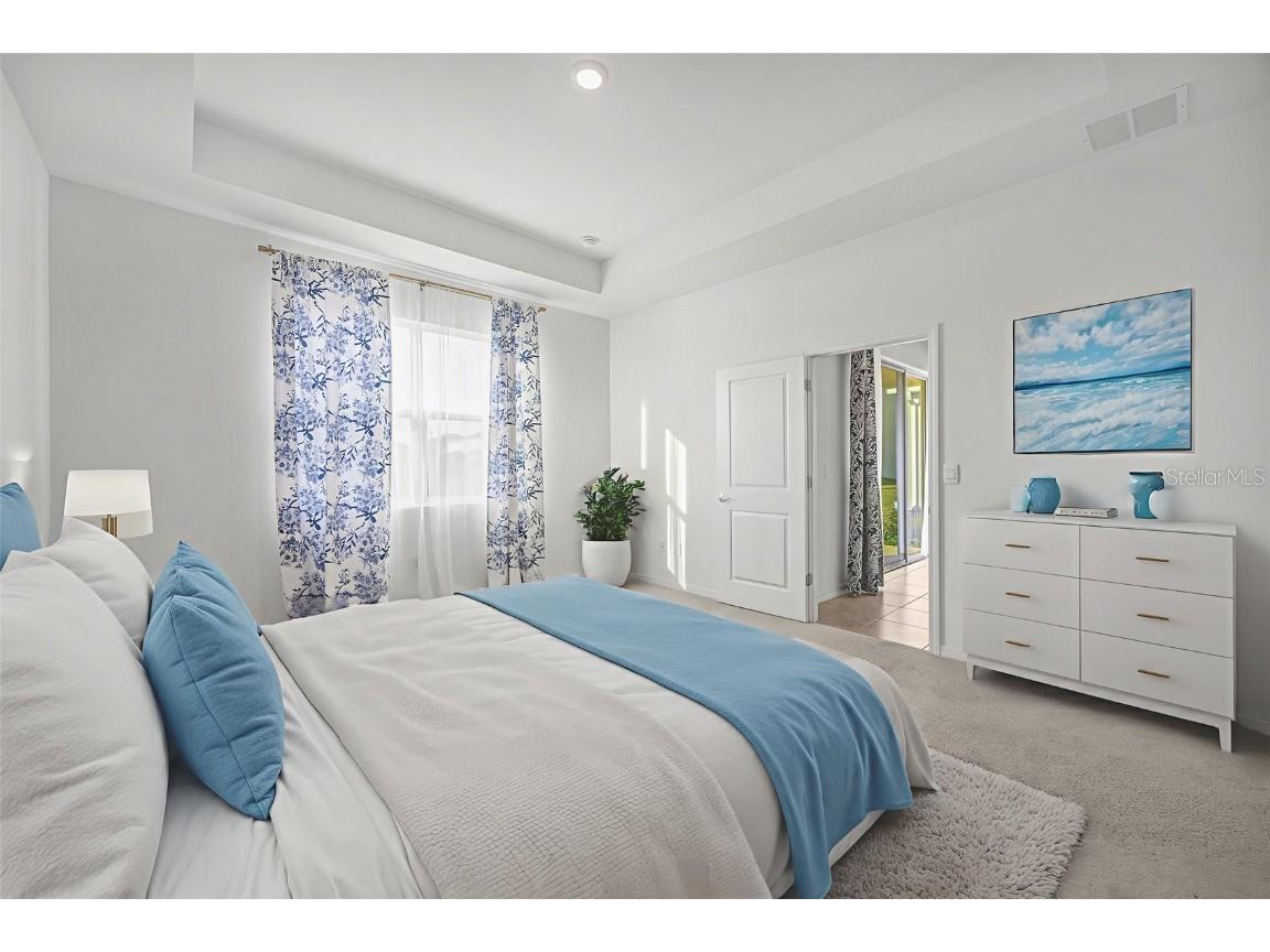 2555 Bending Bonsai Drive Wesley Chapel FL 33543 TB8452119 image19