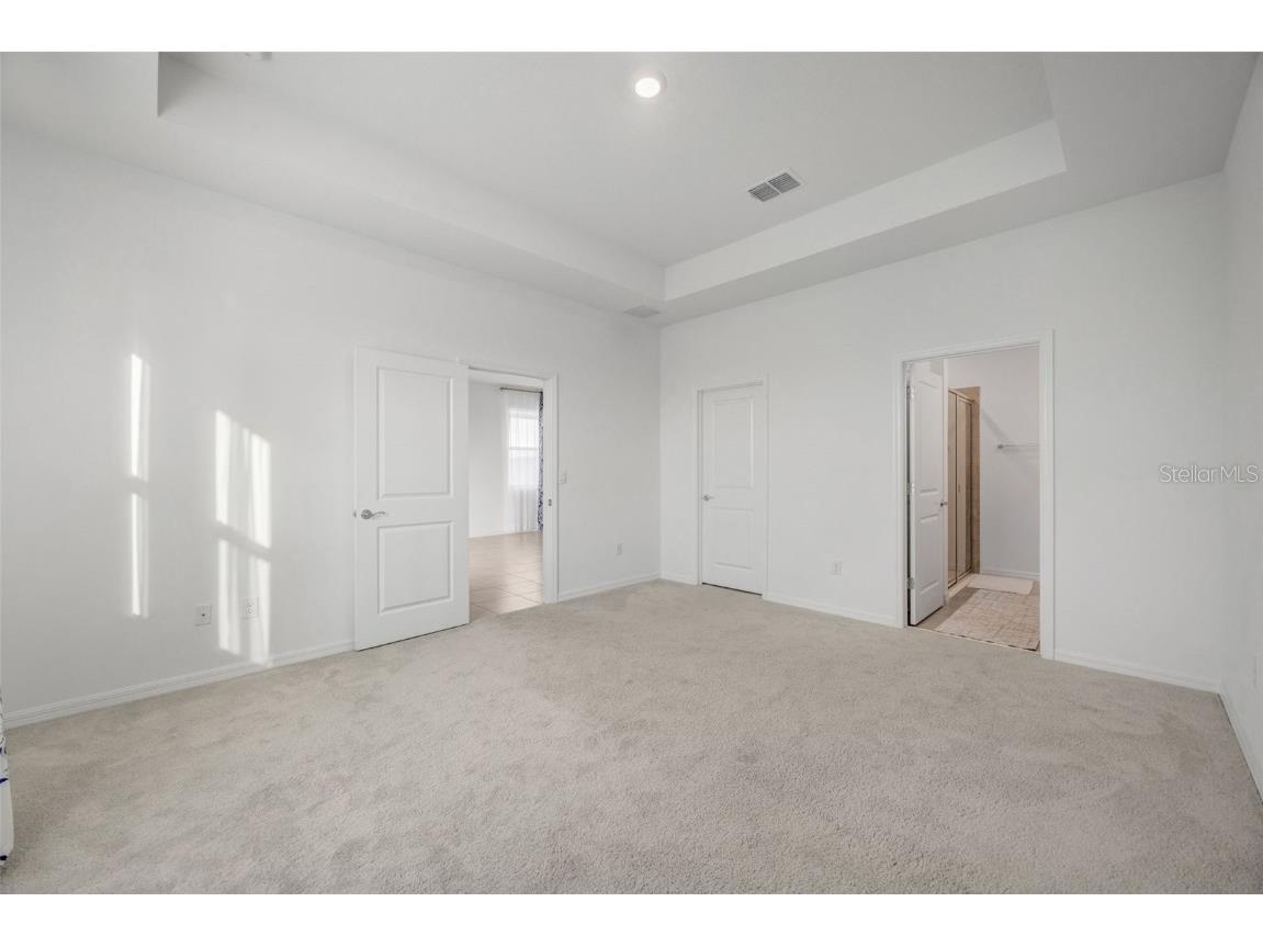 2555 Bending Bonsai Drive Wesley Chapel FL 33543 TB8452119 image20