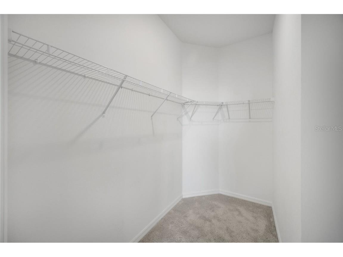 2555 Bending Bonsai Drive Wesley Chapel FL 33543 TB8452119 image23