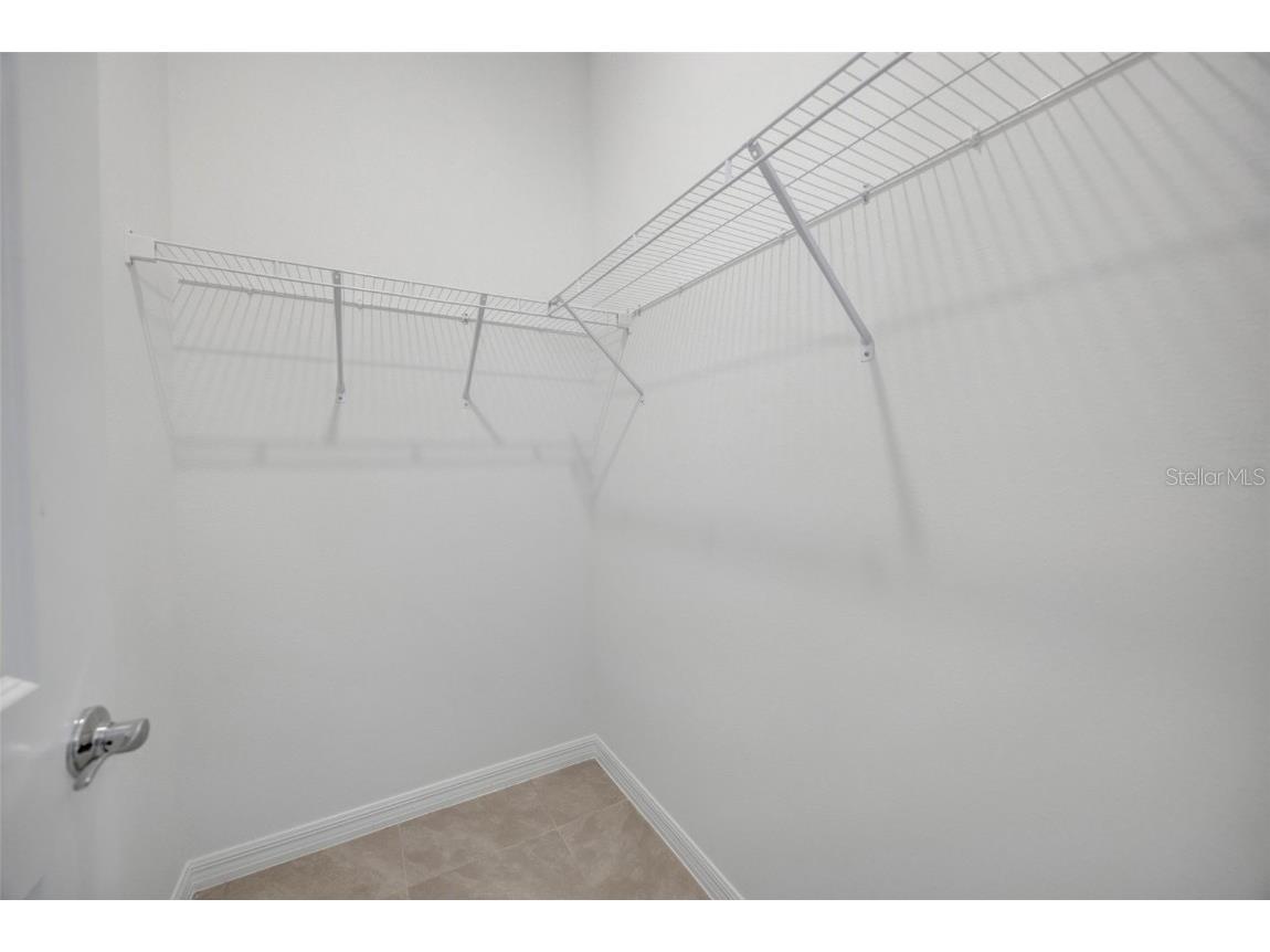 2555 Bending Bonsai Drive Wesley Chapel FL 33543 TB8452119 image32