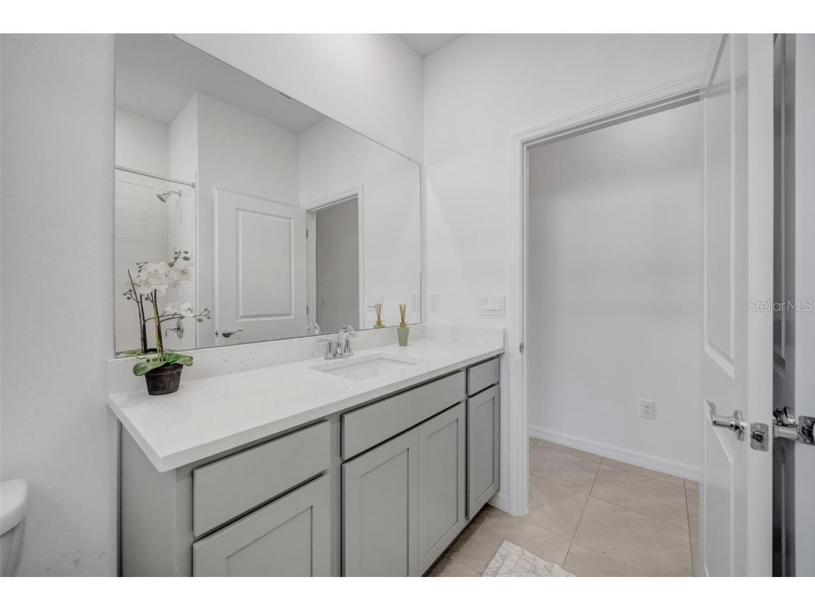 2555 Bending Bonsai Drive Wesley Chapel FL 33543 TB8452119 image50