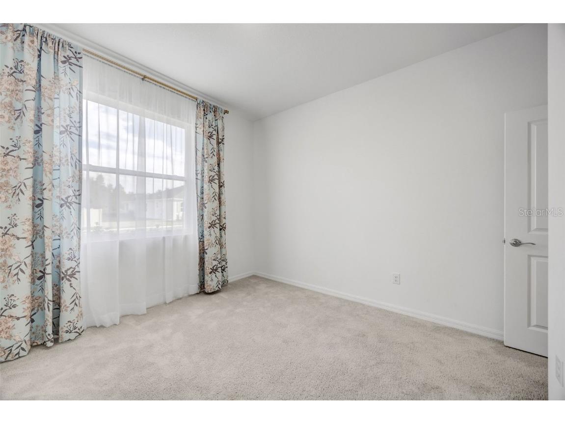 2555 Bending Bonsai Drive Wesley Chapel FL 33543 TB8452119 image52