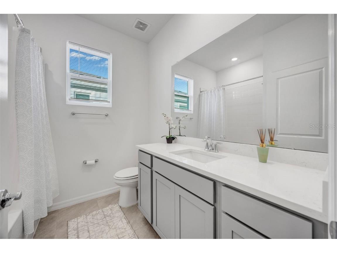 2555 Bending Bonsai Drive Wesley Chapel FL 33543 TB8452119 image54