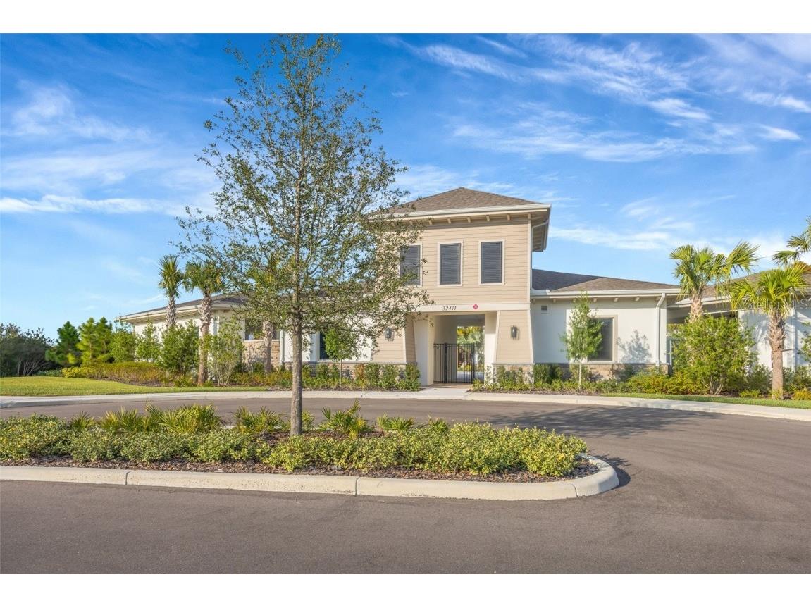 2555 Bending Bonsai Drive Wesley Chapel FL 33543 TB8452119 image58