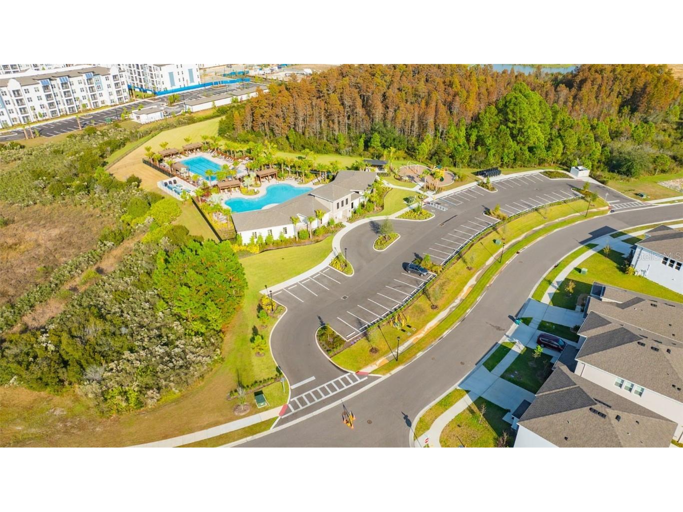 2555 Bending Bonsai Drive Wesley Chapel FL 33543 TB8452119 image7