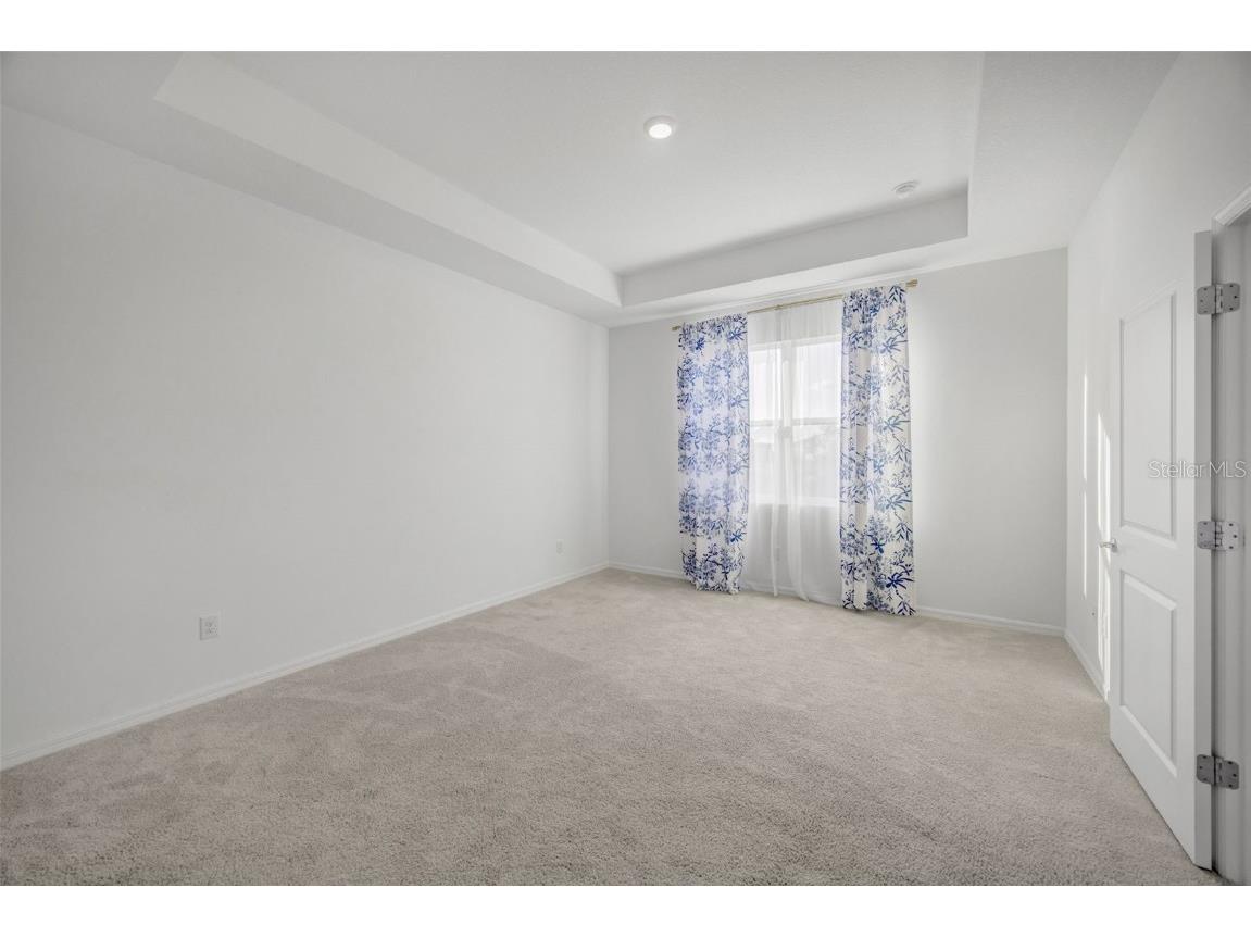 2555 Bending Bonsai Drive Wesley Chapel FL 33543 TB8452272 image19