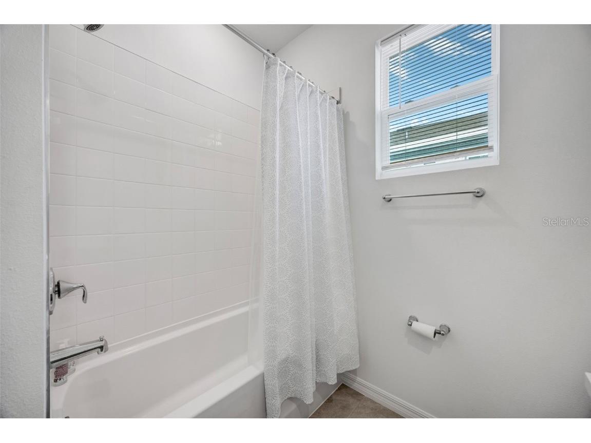 2555 Bending Bonsai Drive Wesley Chapel FL 33543 TB8452272 image48