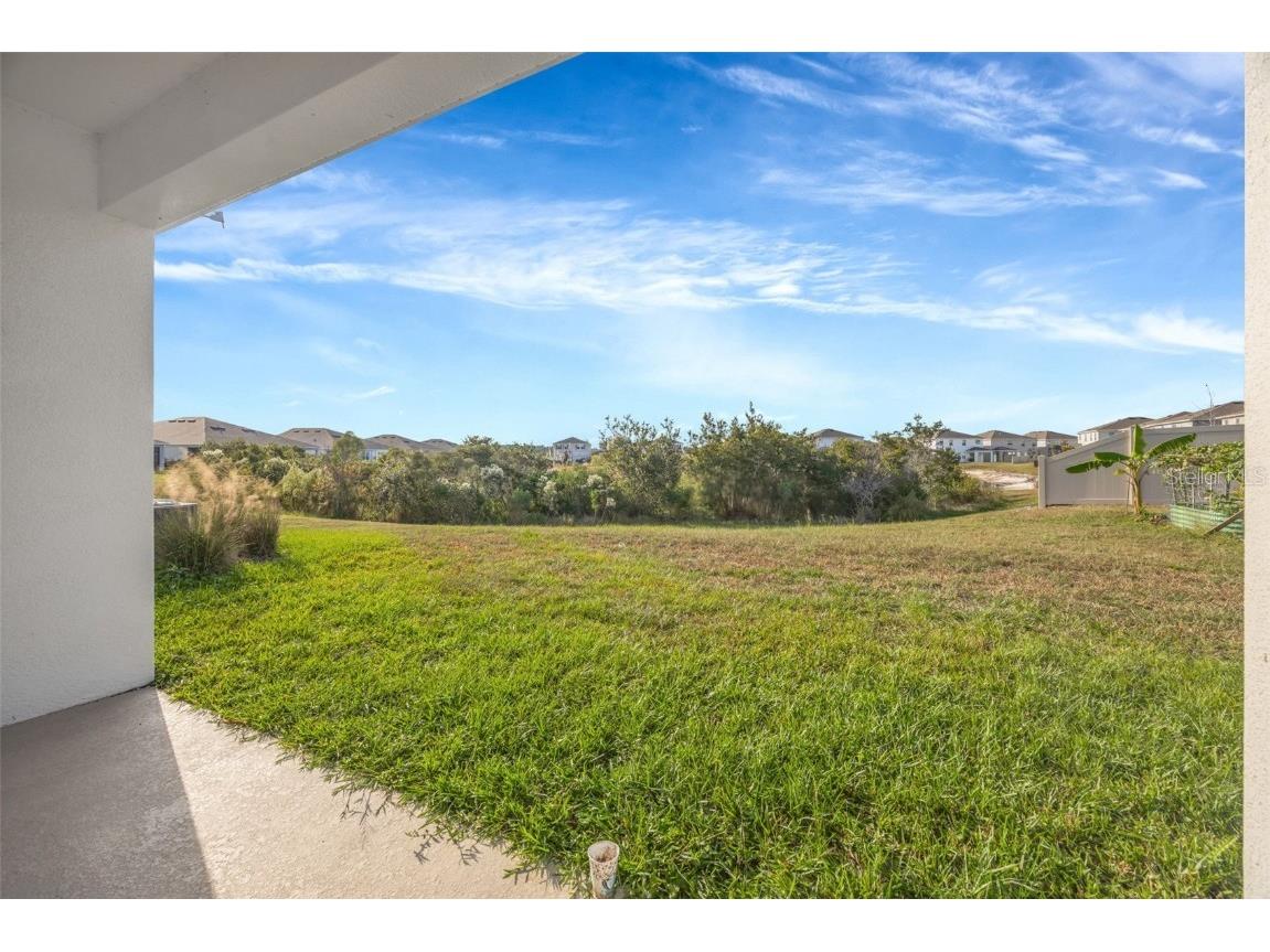 2555 Bending Bonsai Drive Wesley Chapel FL 33543 TB8452272 image53