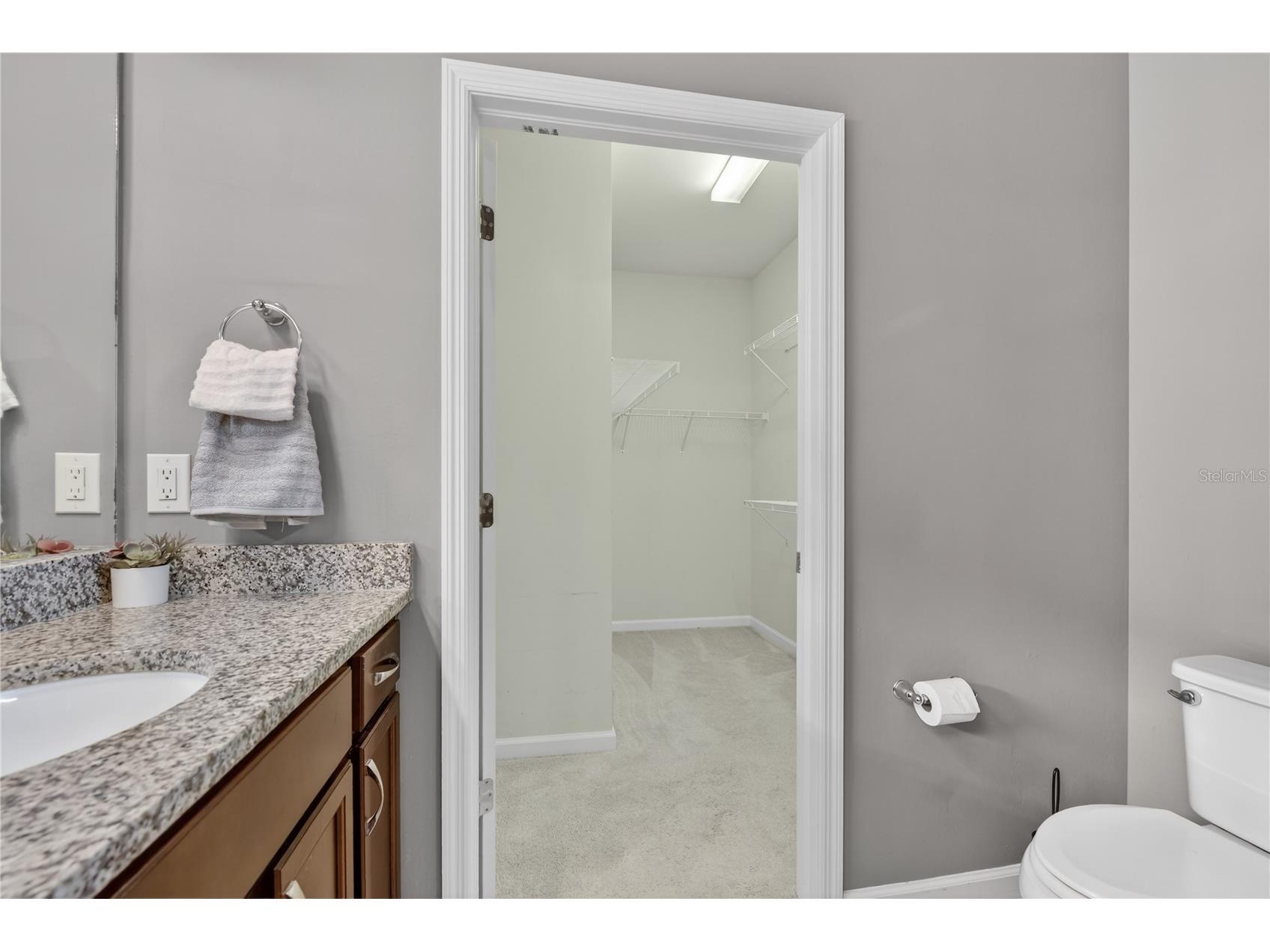 2555 Brassica Drive North Port FL 34289 D6146418 image30