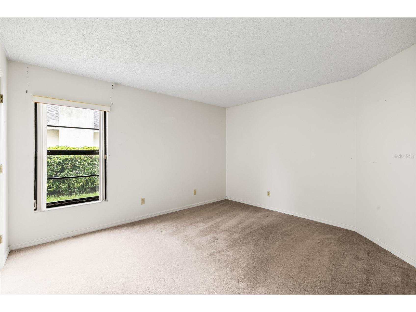 2555 Mason Oaks Drive Valrico FL 33596 TB8514701 image24