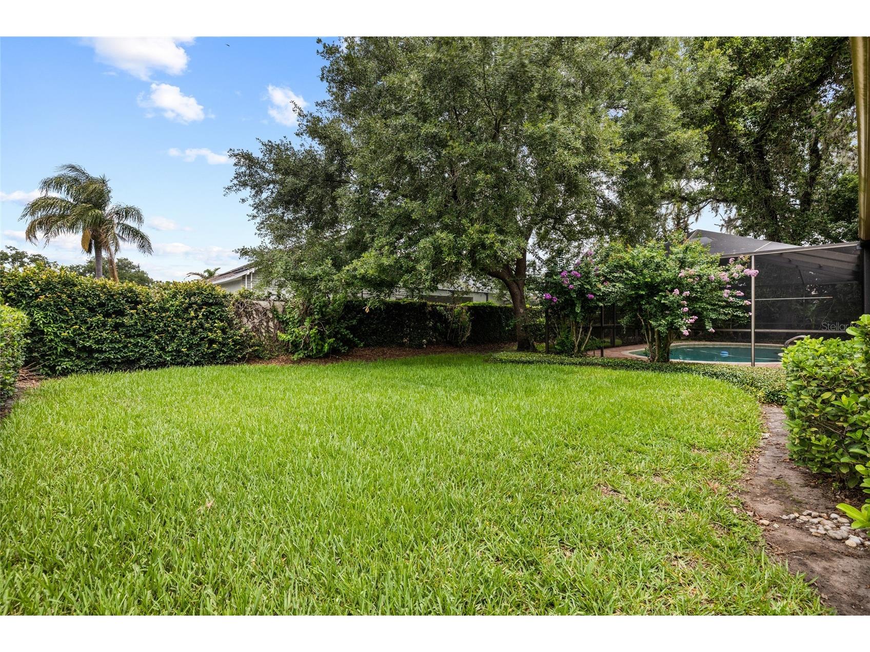 2555 Mason Oaks Drive Valrico FL 33596 TB8514701 image37