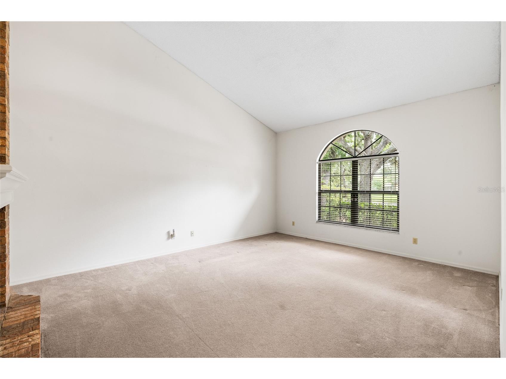 2555 Mason Oaks Drive Valrico FL 33596 TB8514701 image7