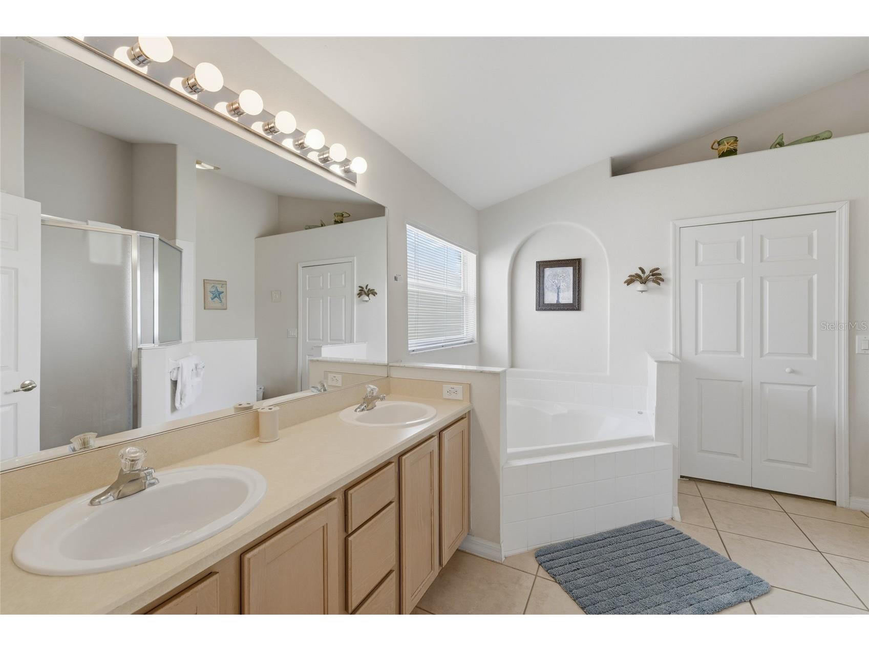 2555 Oneida Loop Kissimmee FL 34747 O6390689 image13