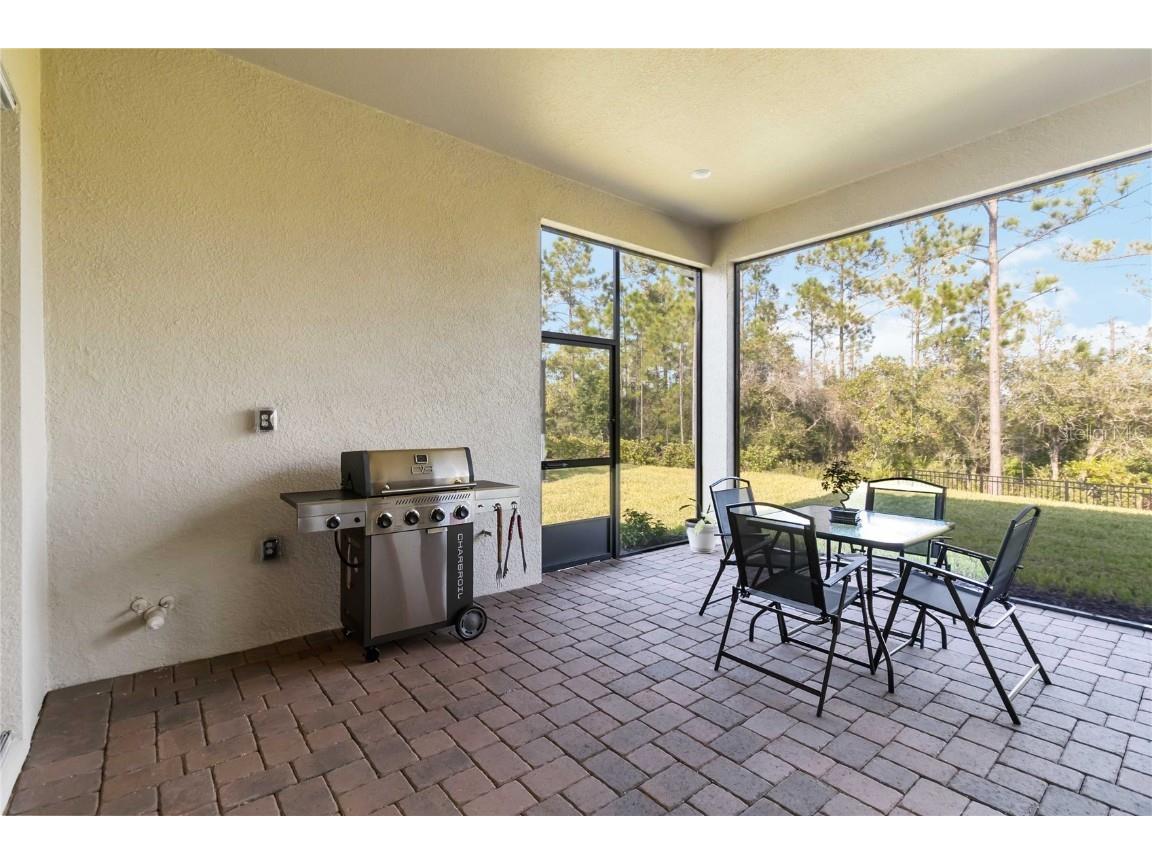 2555 Pine Preserve Court Saint Cloud FL 34771 O6358298 image47