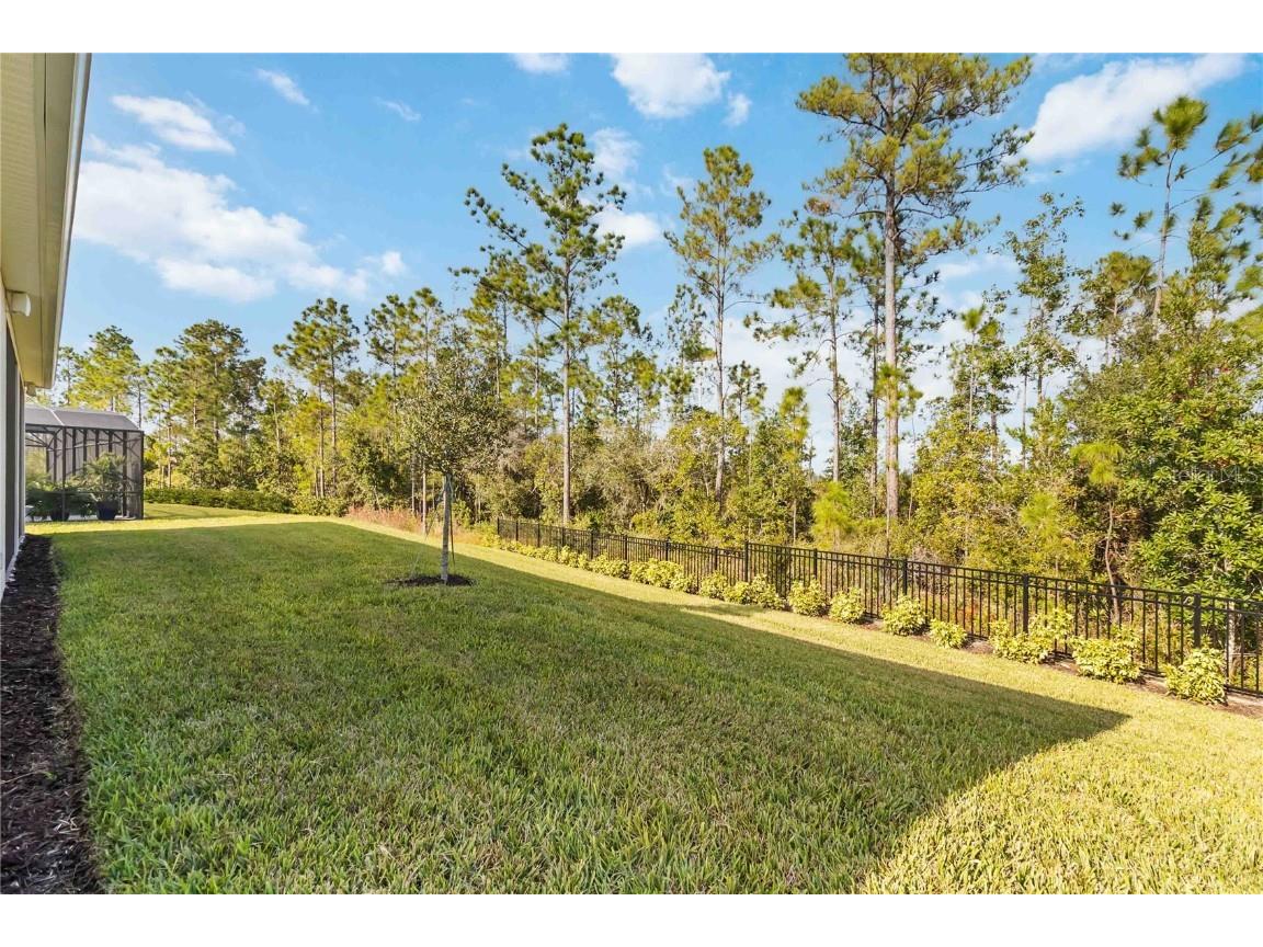 2555 Pine Preserve Court Saint Cloud FL 34771 O6358298 image51