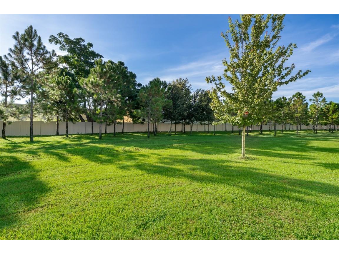 2555 Sweet Viburnum Way Ocoee FL 34761 O6336104 image3