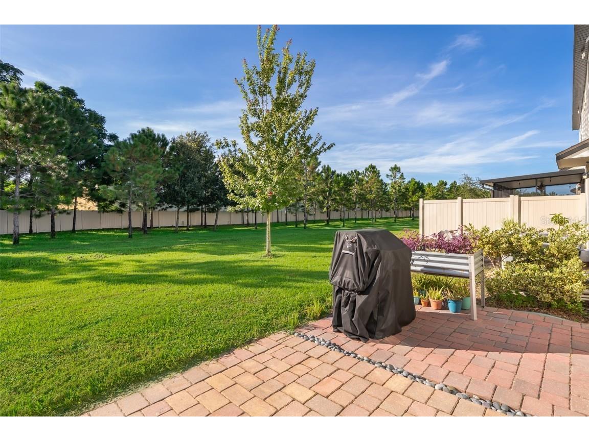 2555 Sweet Viburnum Way Ocoee FL 34761 O6336104 image4