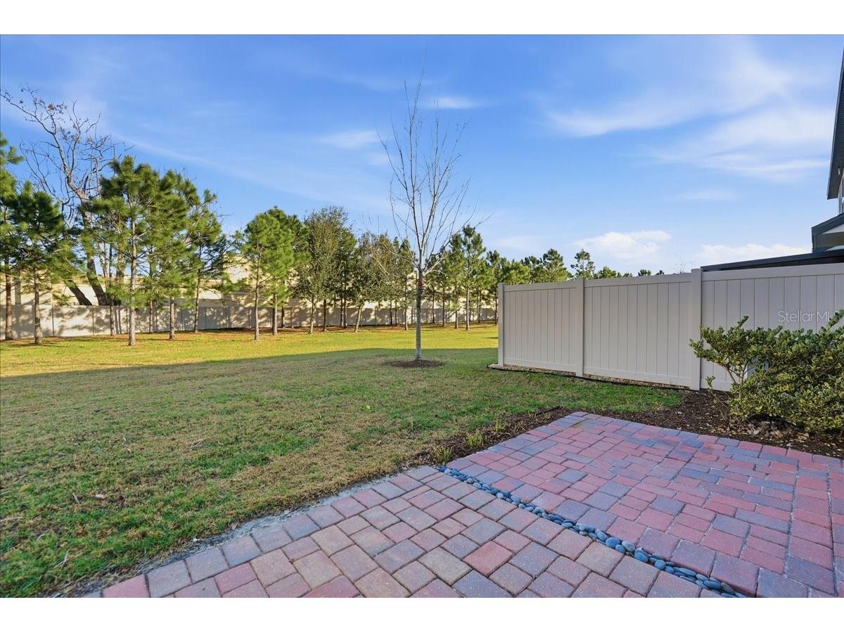 2555 Sweet Viburnum Way Ocoee FL 34761 O6385940 image14