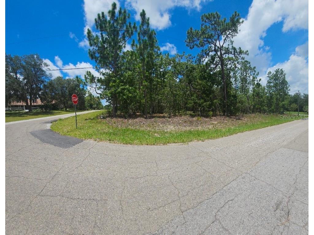 2555 W Mesa Verde Drive Beverly Hills FL 34465 OM652295 image1