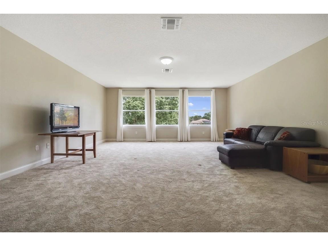 25551 Hawks Run Lane Sorrento FL 32776 O6346583 image18