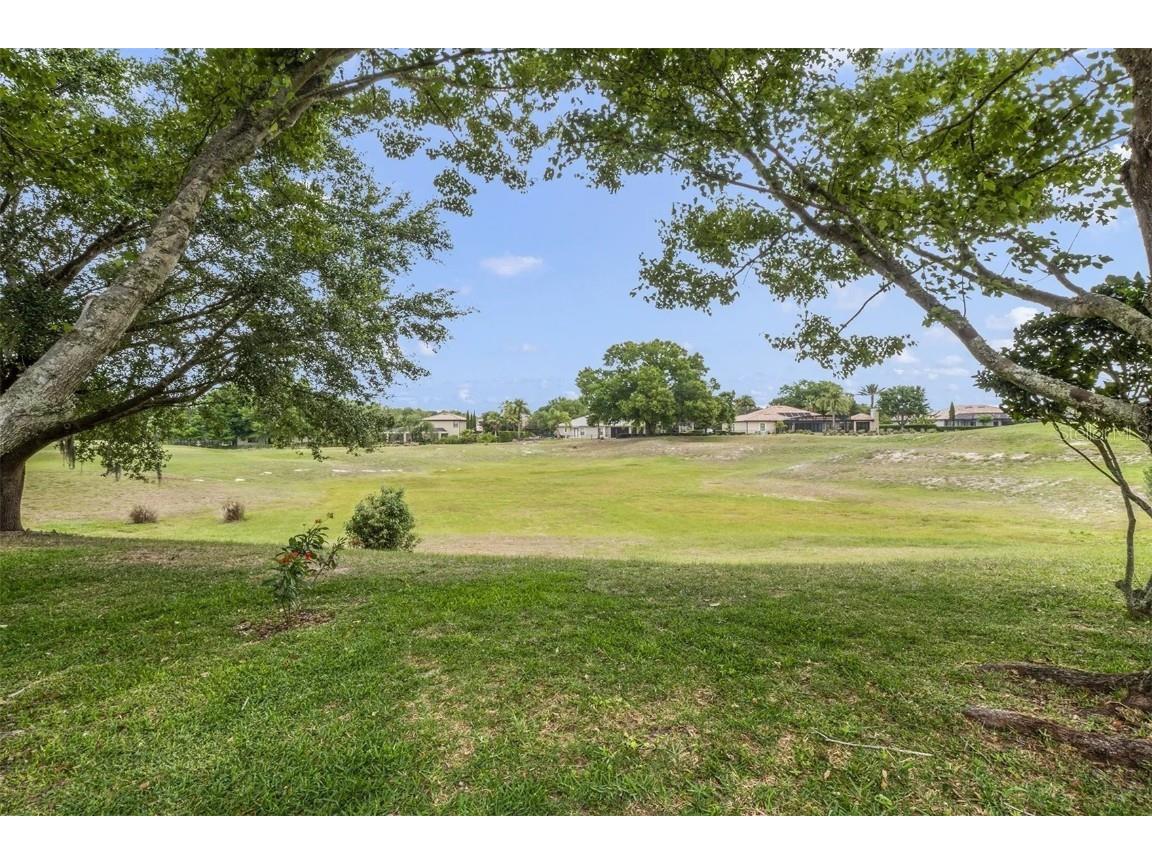 25551 Hawks Run Lane Sorrento FL 32776 O6346583 image21