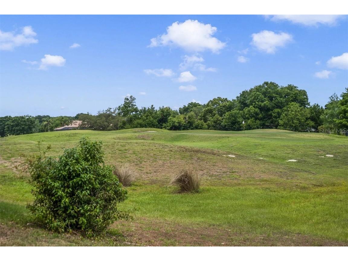 25551 Hawks Run Lane Sorrento FL 32776 O6346583 image23