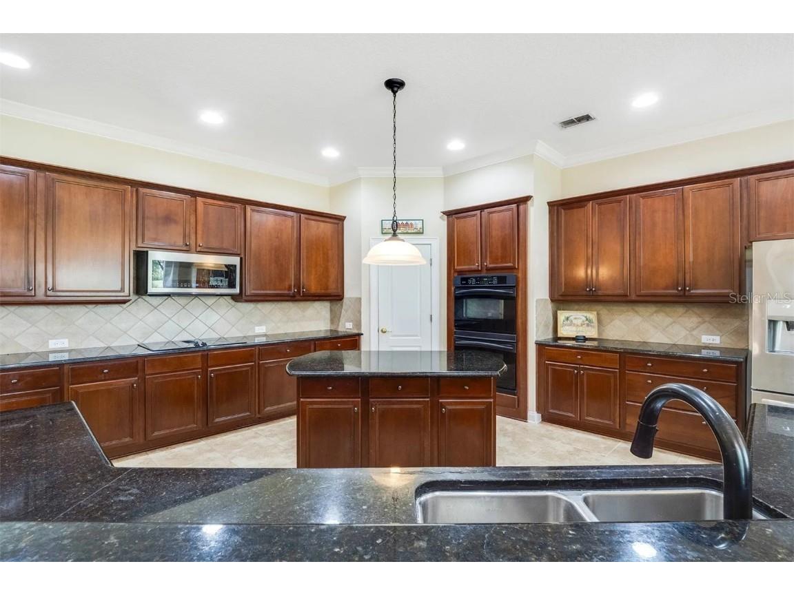 25551 Hawks Run Lane Sorrento FL 32776 O6346583 image29