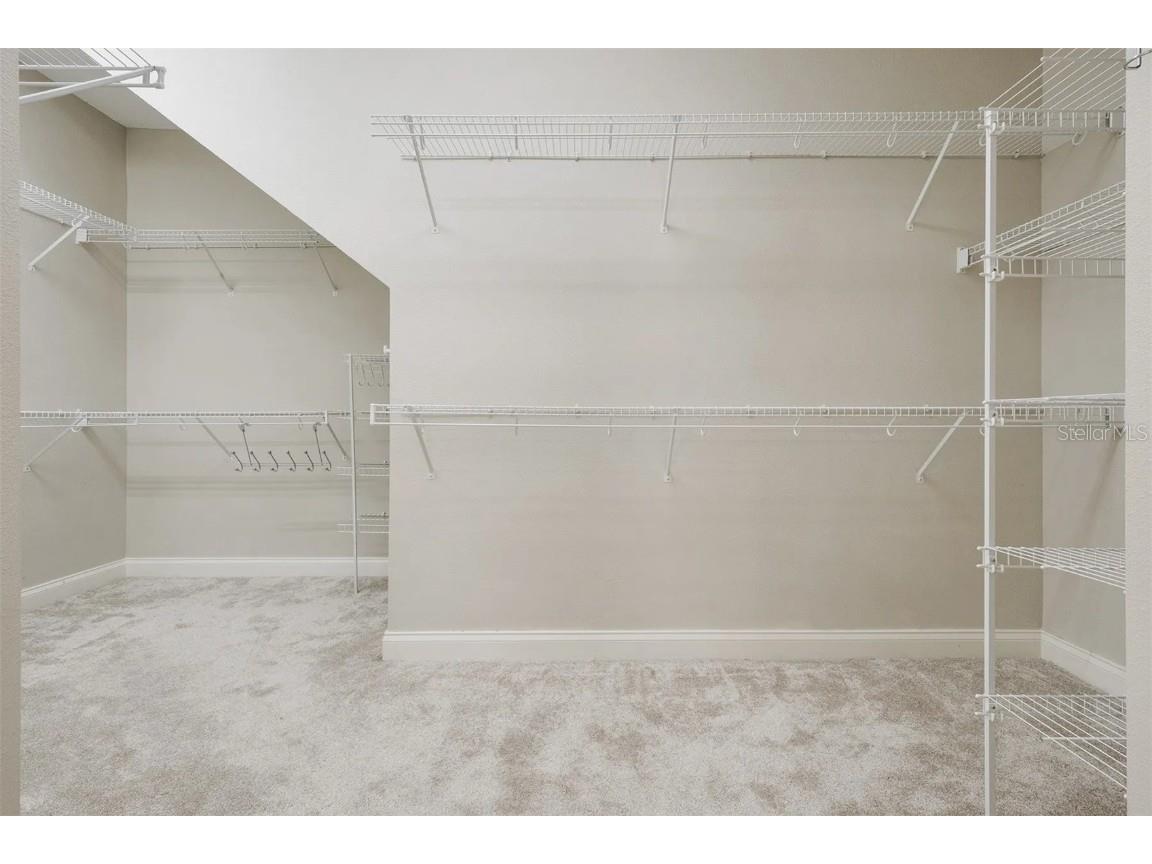 25551 Hawks Run Lane Sorrento FL 32776 O6346583 image42