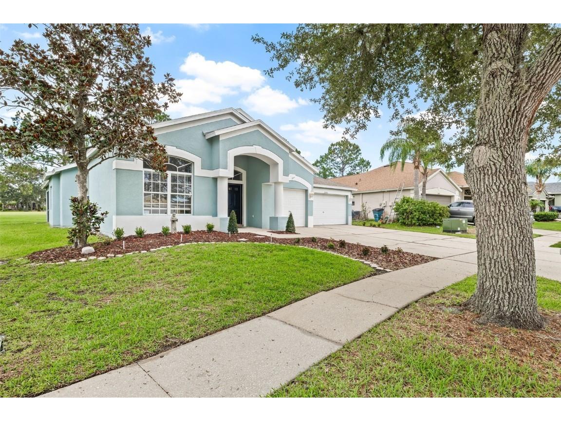 25551 Risen Star Drive Wesley Chapel FL 33544 T3503930 image1