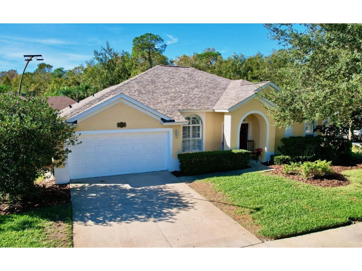25552 Risen Star Drive Wesley Chapel FL 33544 T3490796 image1