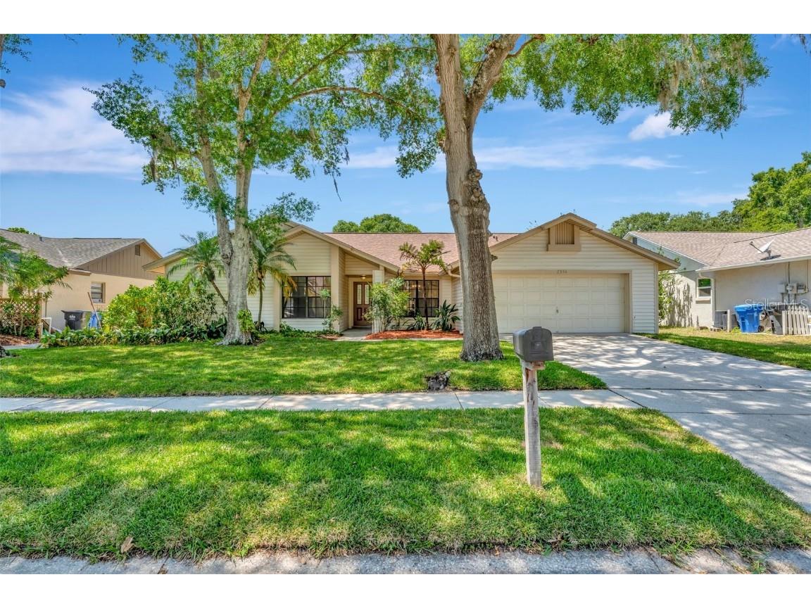 2556 Arborwood Drive Valrico FL 33596 T3502844 image1