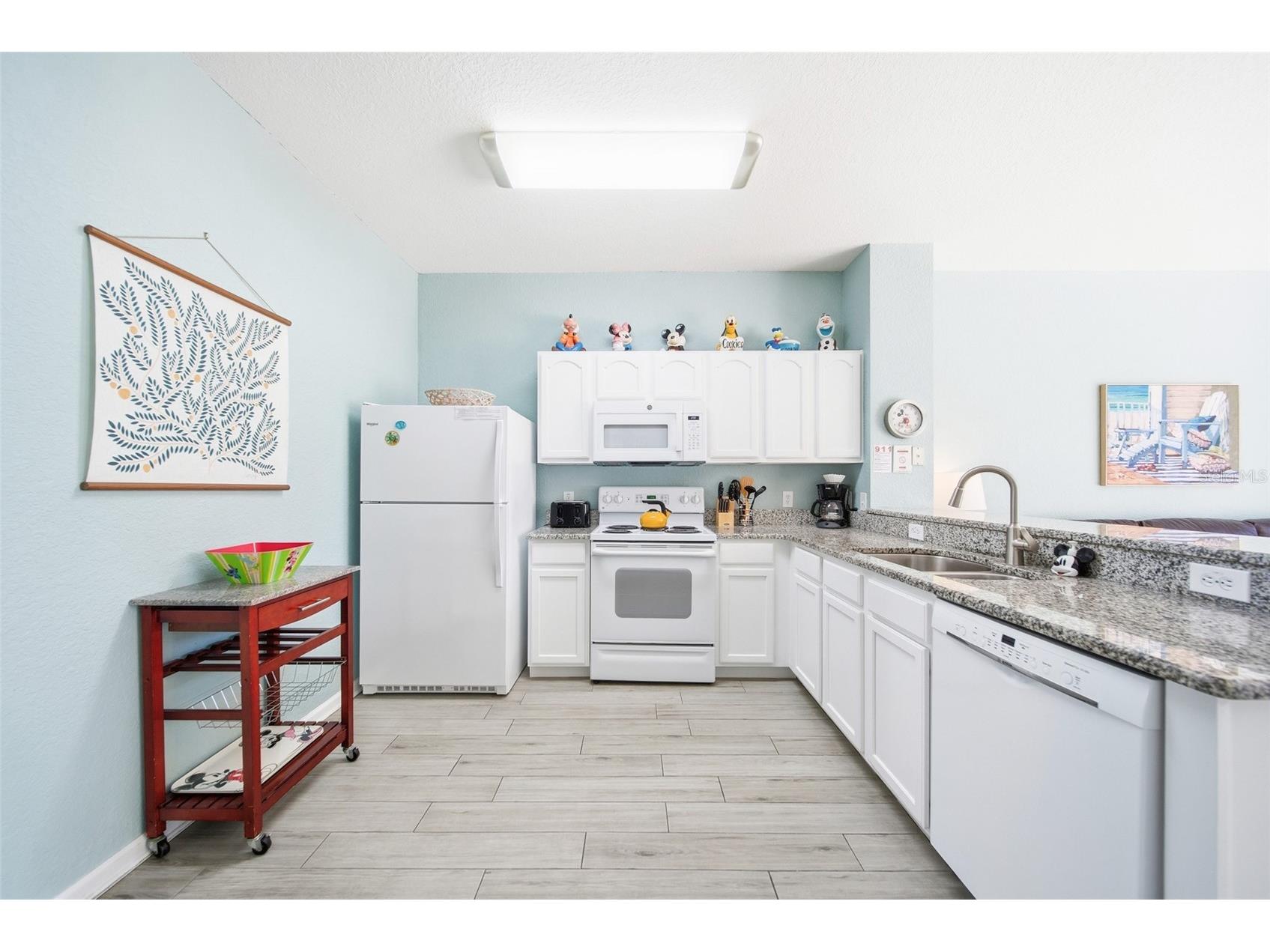 2556 Renshaw Street Kissimmee FL 34747 O6393304 image11