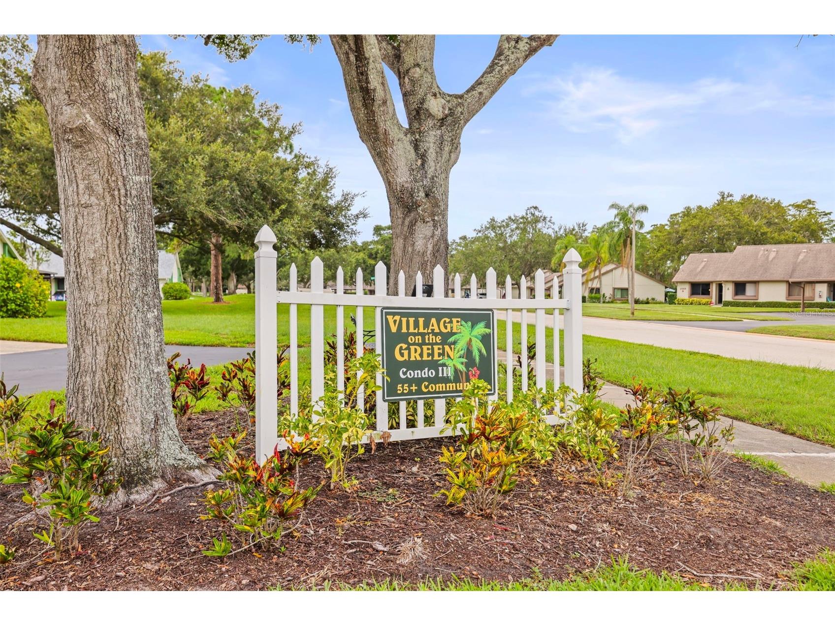 2556 Royal Pines Circle #13-C Clearwater FL 33763 TB8529554 image3
