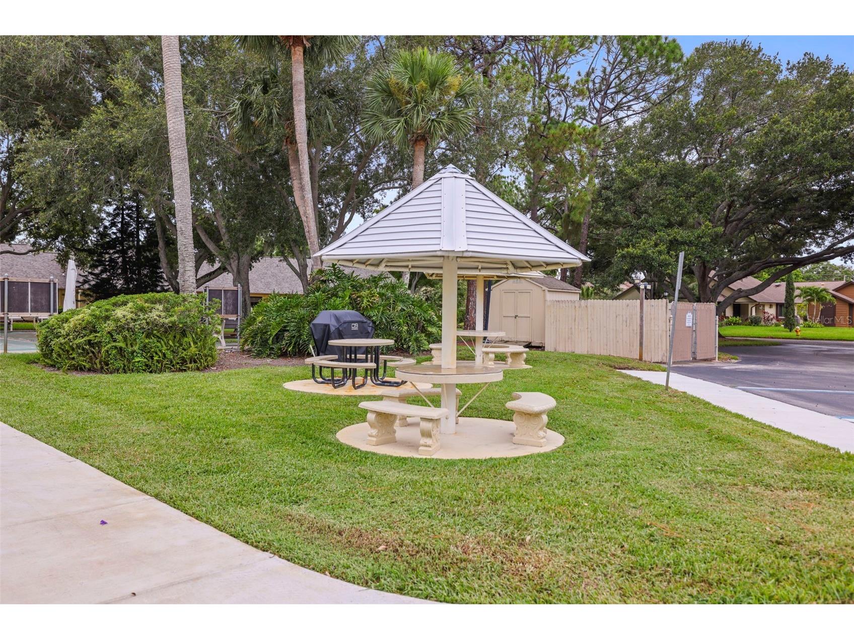 2556 Royal Pines Circle #13-C Clearwater FL 33763 TB8529554 image41