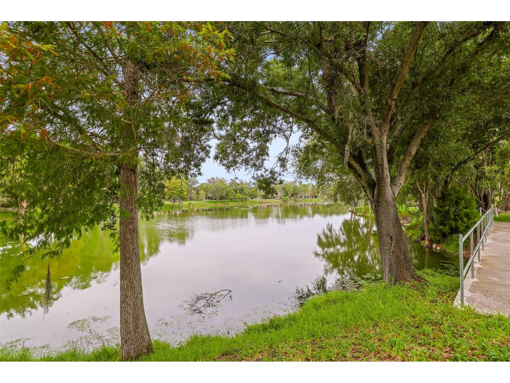 2556 Royal Pines Circle #13-C Clearwater FL 33763 TB8529554 image45