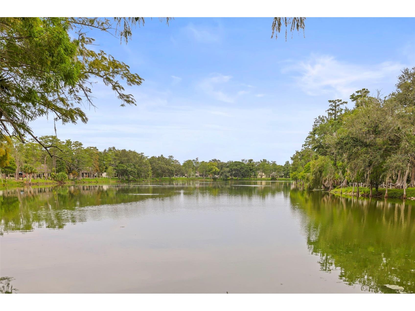 2556 Royal Pines Circle #13-C Clearwater FL 33763 TB8529554 image46