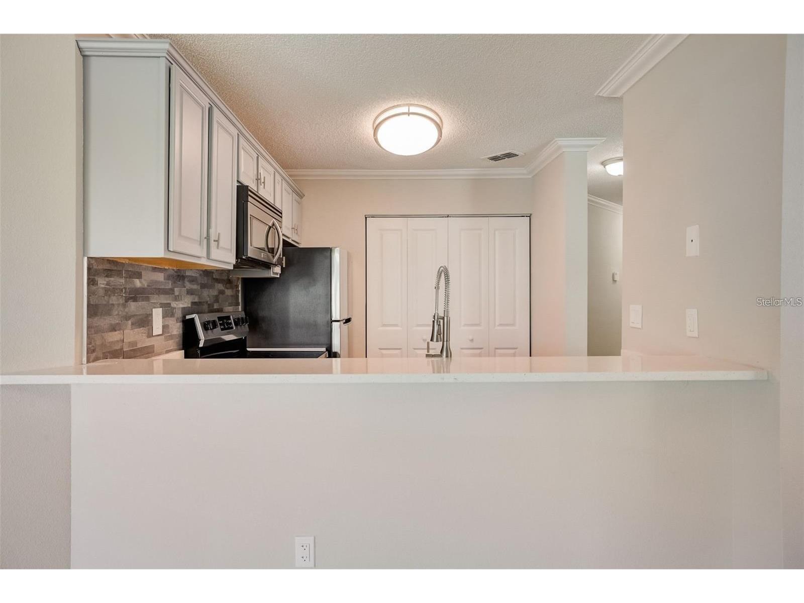 2556 Woodgate Boulevard #101 Orlando FL 32822 S5153269 image10