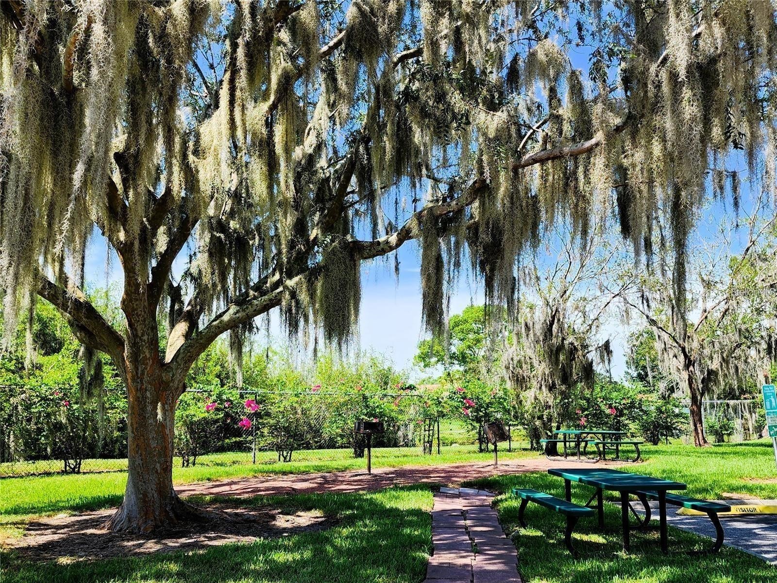 2556 Woodgate Boulevard #101 Orlando FL 32822 S5153269 image34