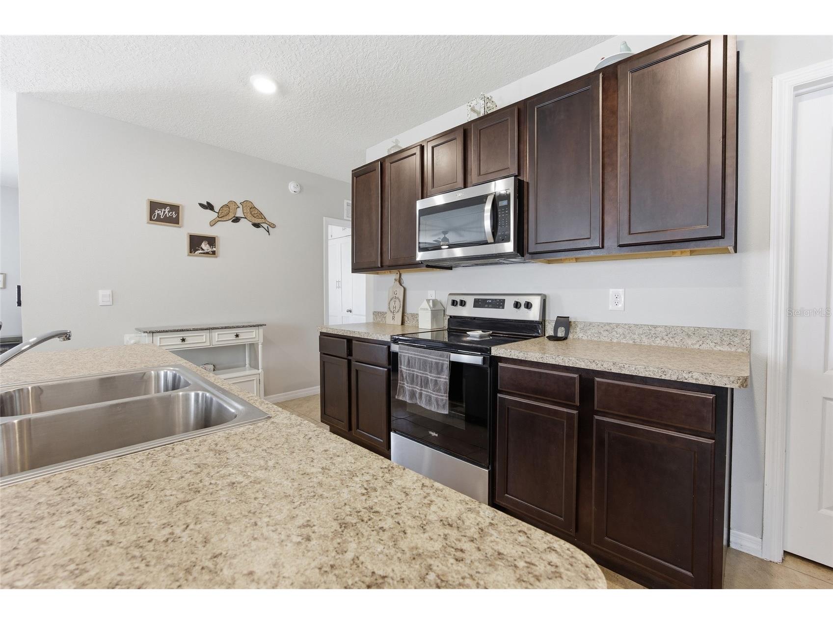 2557 Shamrock Street Tavares FL 32778 O6399634 image25