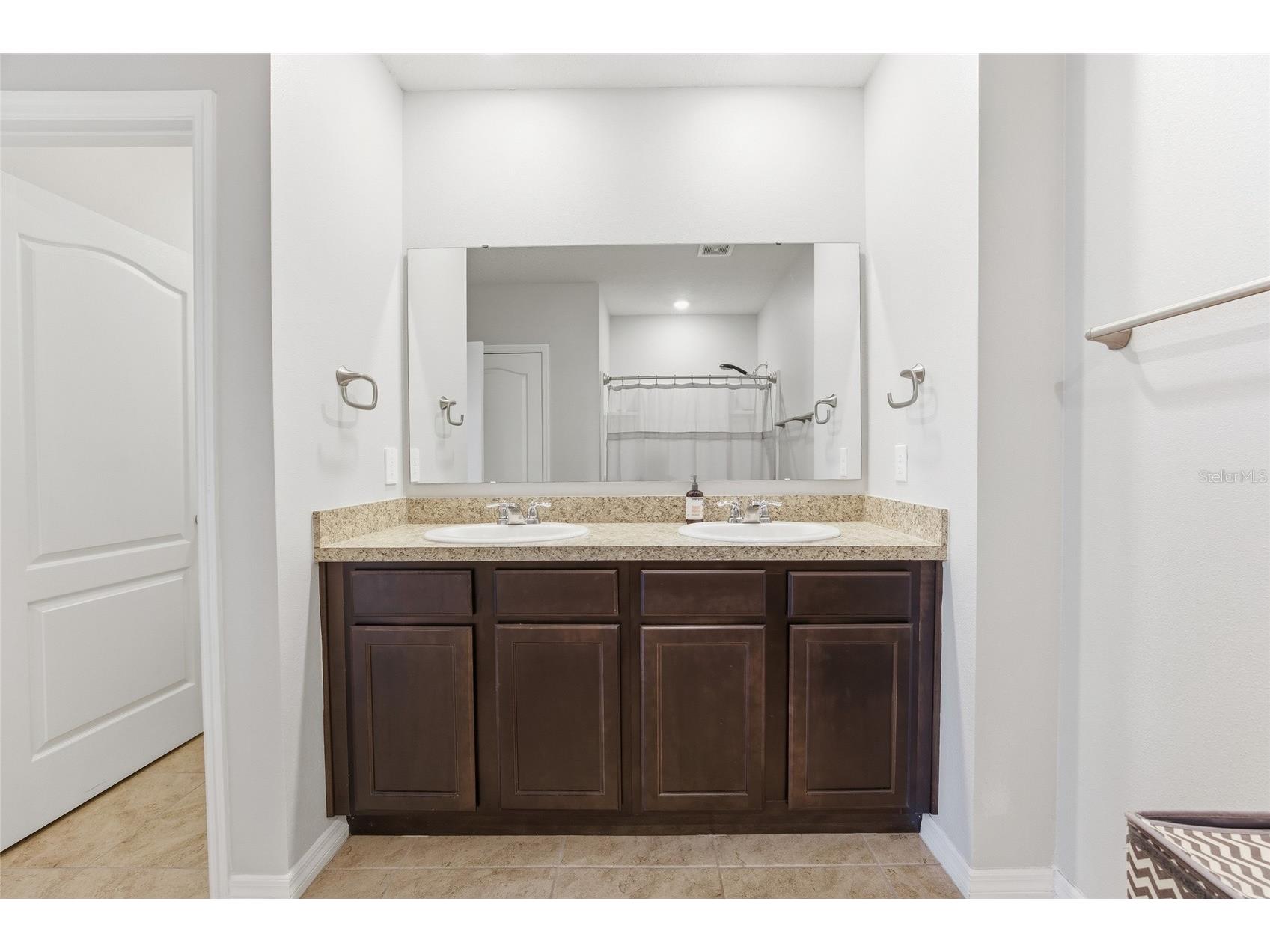 2557 Shamrock Street Tavares FL 32778 O6399634 image35