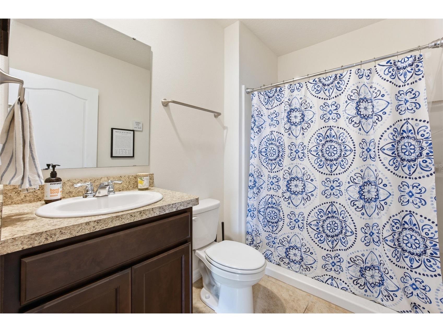 2557 Shamrock Street Tavares FL 32778 O6399634 image8