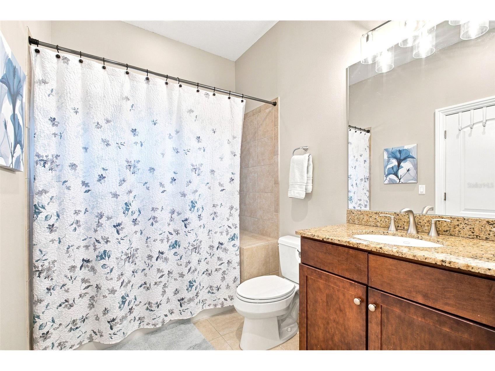 2557 W Platt Street Tampa FL 33609 TB8532377 image15