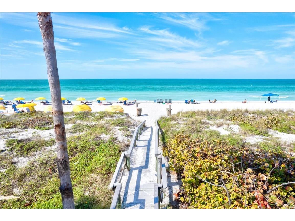 256 144th Avenue Madeira Beach FL 33708 - JOHN'S PASS AND TOM'S STUART A4663116 image26