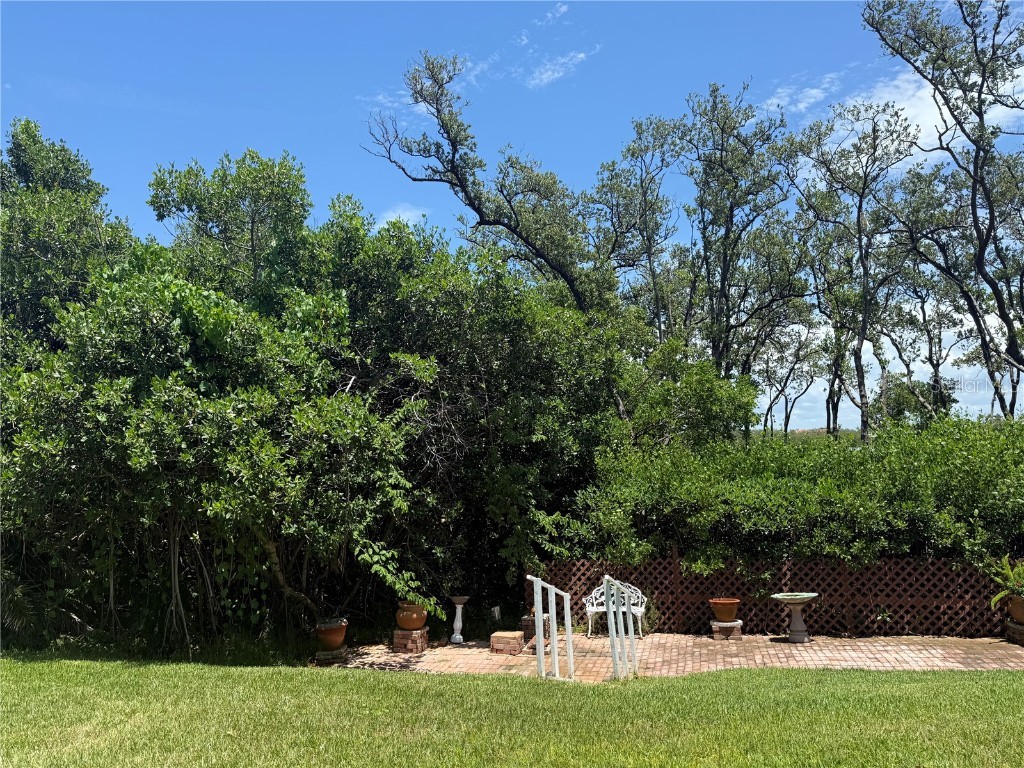 256 44th Avenue Saint Pete Beach FL 33706 TB8447326 image14