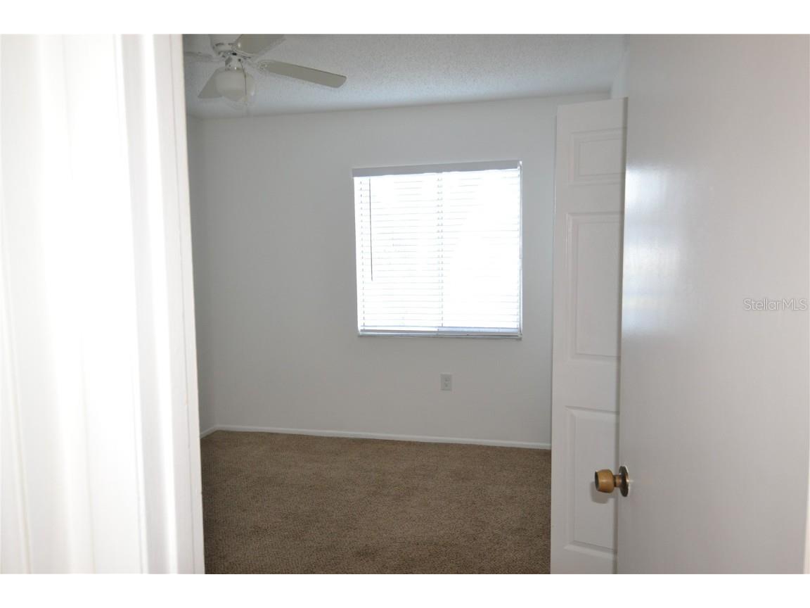 256 Cypress Lane Oldsmar FL 34677 TB8417068 image18