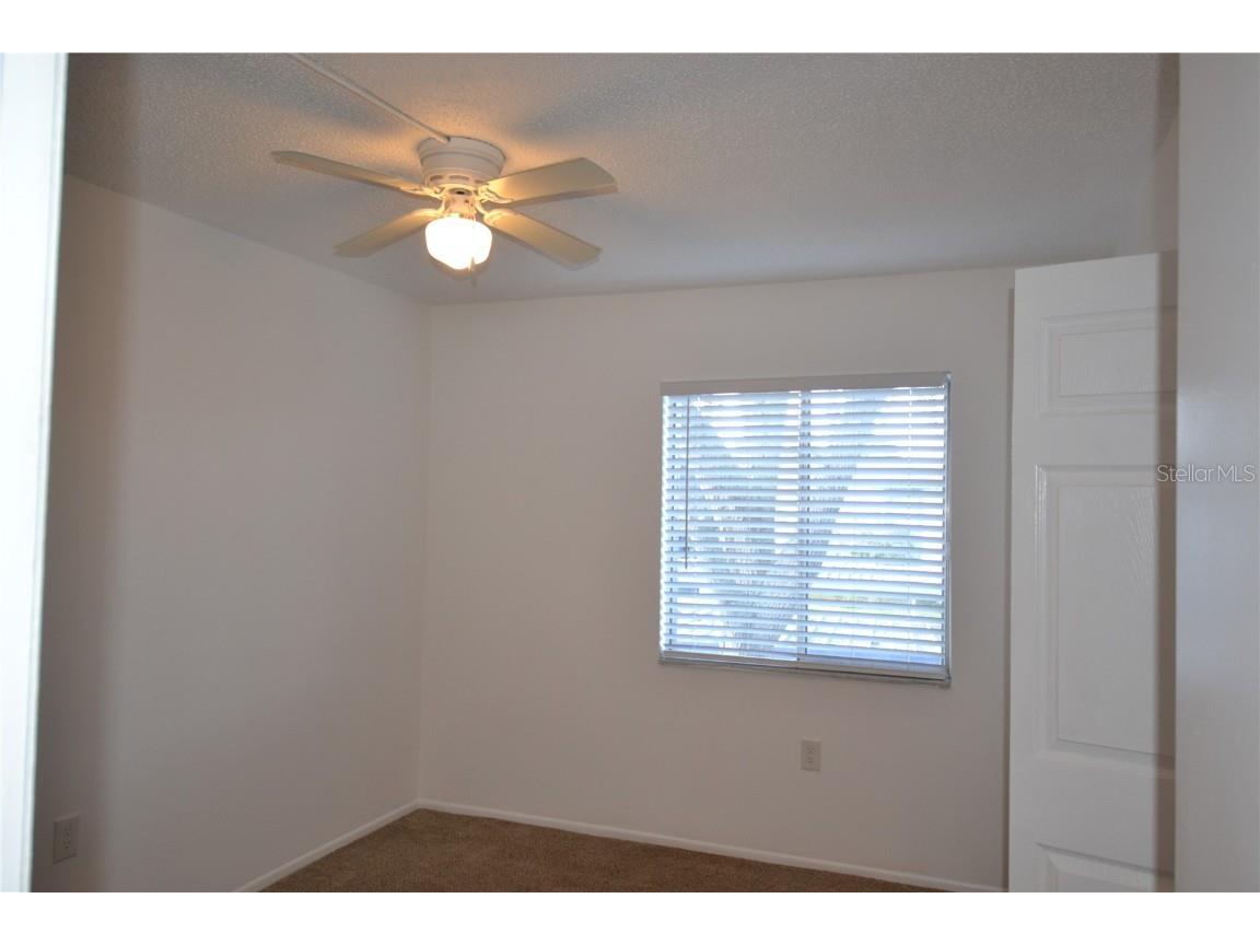 256 Cypress Lane Oldsmar FL 34677 TB8417068 image19