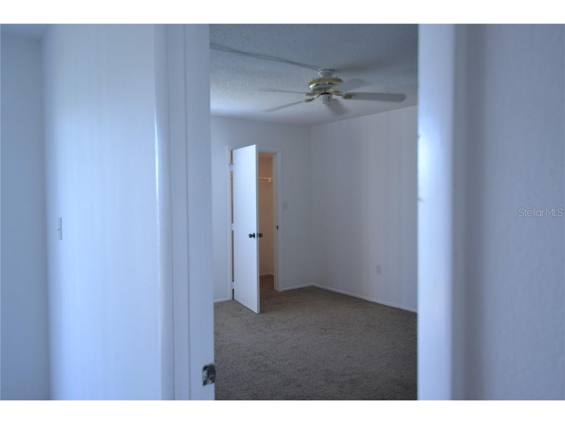 256 Cypress Lane Oldsmar FL 34677 TB8417068 image22